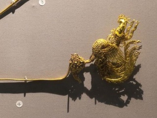 爬山虎种子哪个品种好?育苗方法有哪些?【半岛体育】(图3) 半岛体育下载